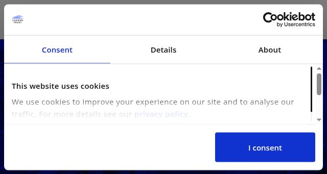 Screenshot of carbontrust.com