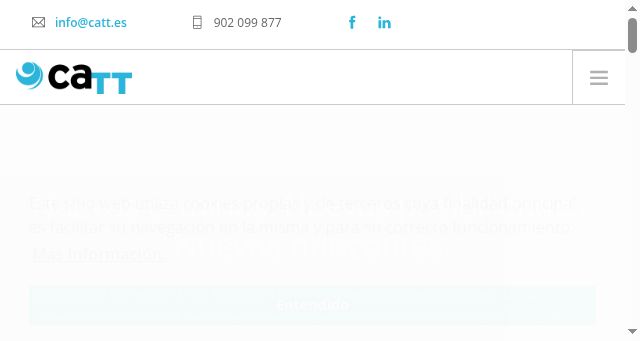 Screenshot of catt.es