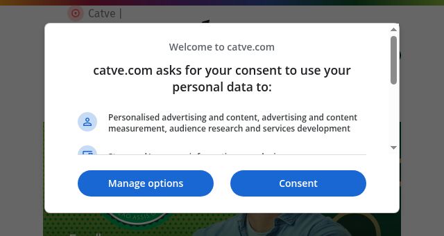 Screenshot of catve.com