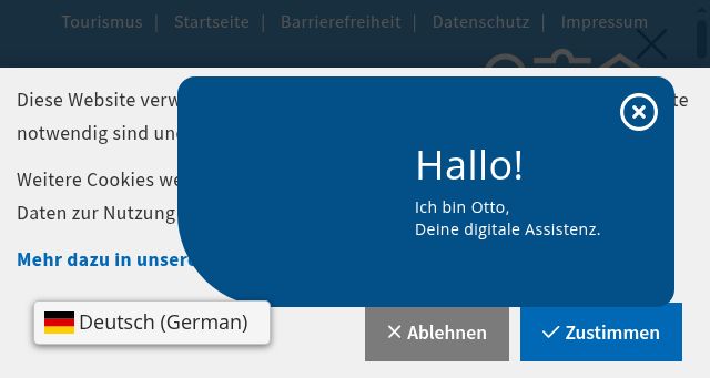 Screenshot of celle.de