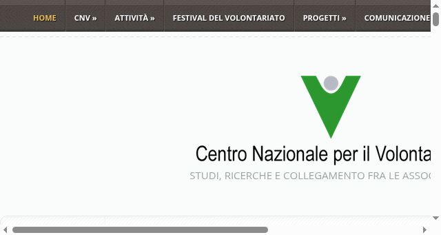 Screenshot of centrovolontariato.net