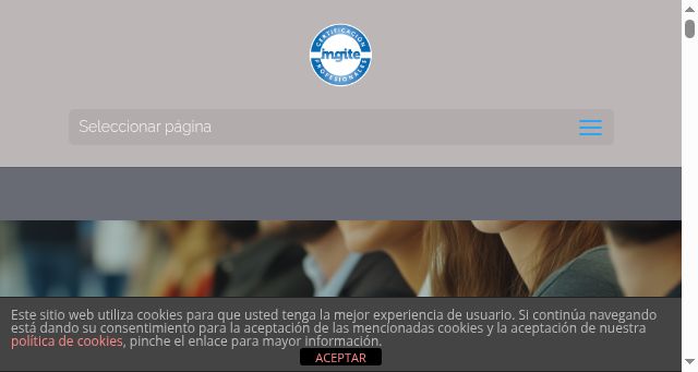 Screenshot of certing.es