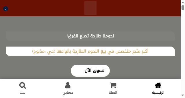 Screenshot of chefhitham.com