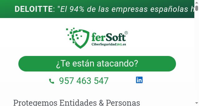 Screenshot of ciberseguridad365.es
