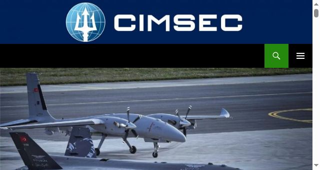 Screenshot of cimsec.org