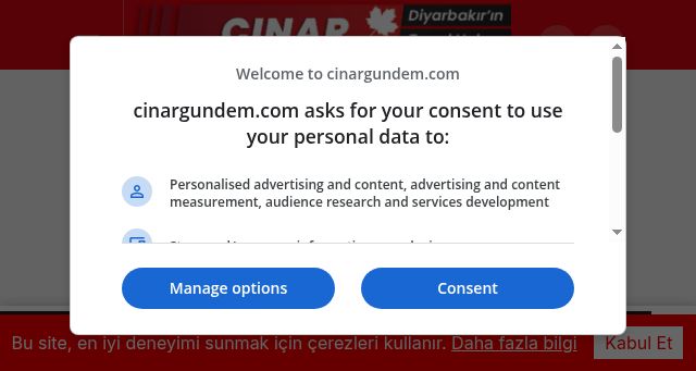 Screenshot of cinargundem.com