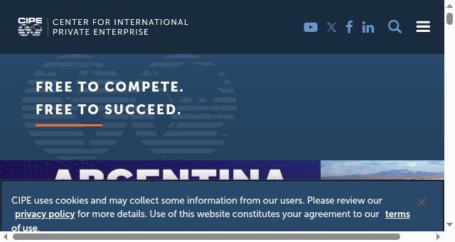 Screenshot of cipe.org