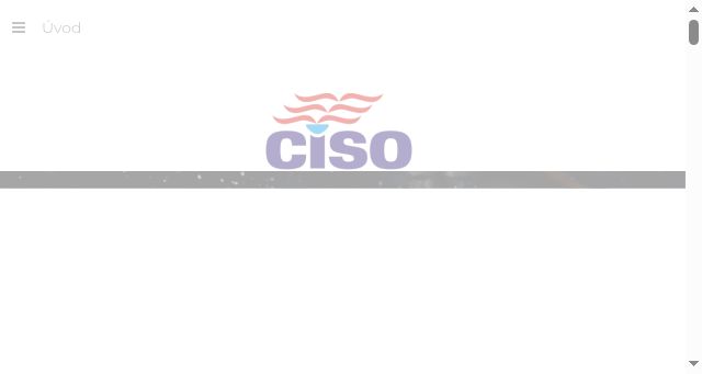 Screenshot of ciso.cz