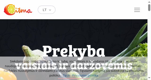 Screenshot of citma.lt