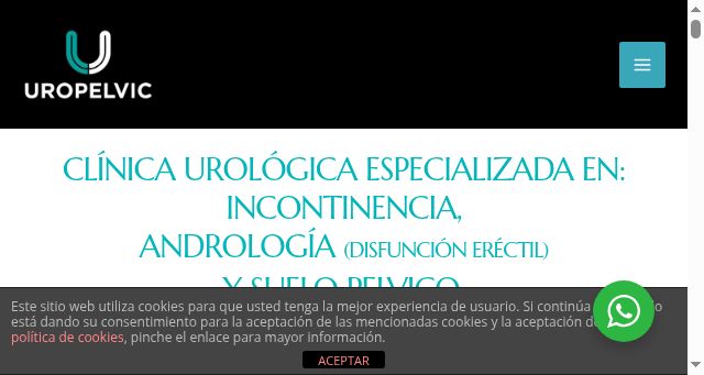 Screenshot of clinicauropelvic.com