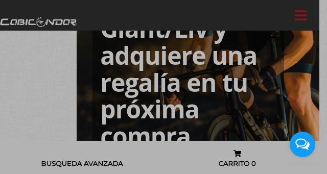 Screenshot of cobicondor.com
