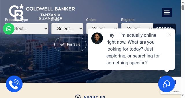 Screenshot of coldwellbanker.tz