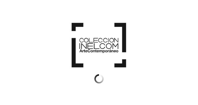 Screenshot of coleccion-inelcom.com