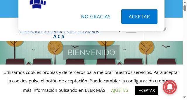 Screenshot of comerciodesegovia.es