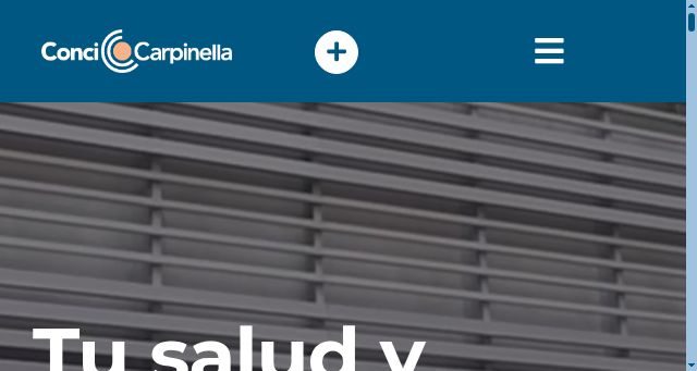 Screenshot of concicarpinella.com