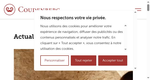 Screenshot of coudenberg.brussels