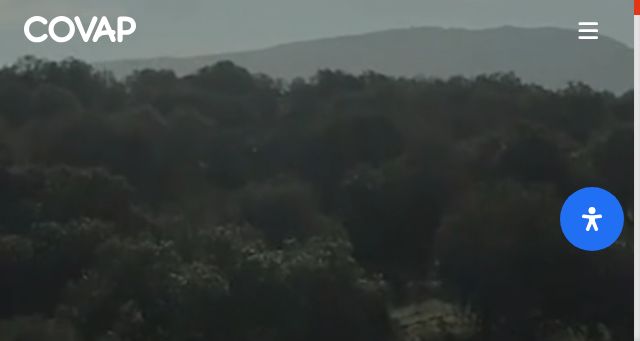 Screenshot of covap.es