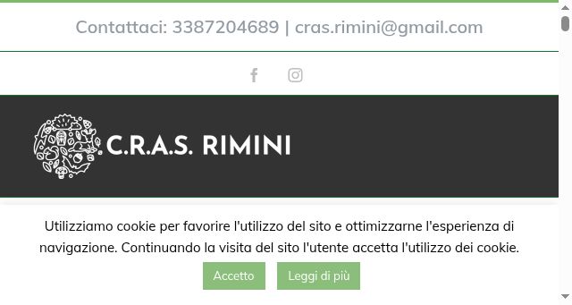 Screenshot of crasrimini.it