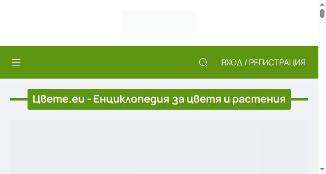 Screenshot of cvete.eu