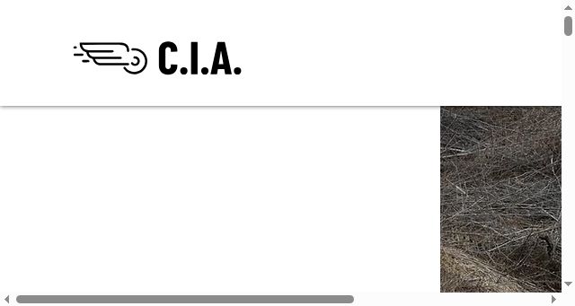 Screenshot of cycling-innovation-accelerator.com