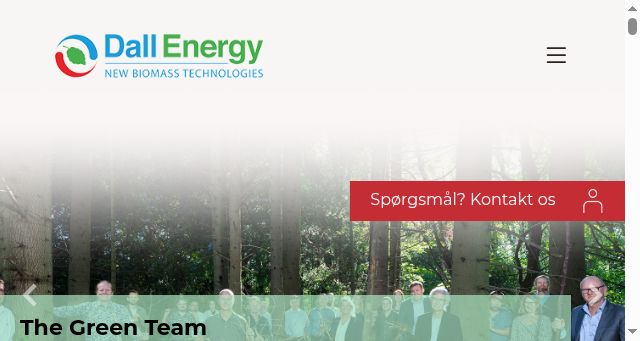 Screenshot of dallenergy.com