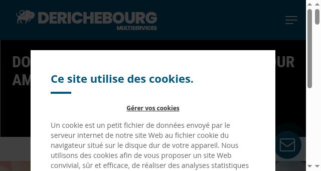 Screenshot of derichebourg-multiservices.com