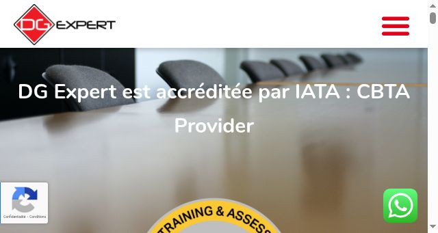 Screenshot of dgexpert.fr