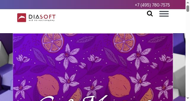 Screenshot of diasoft.ru