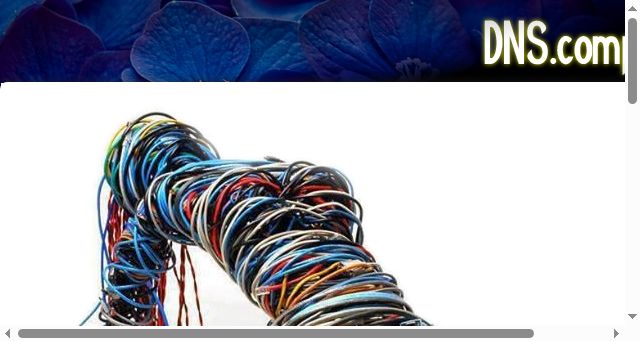 Screenshot of dns.company