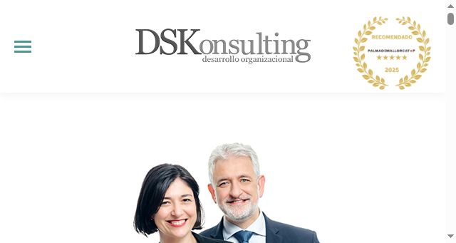 Screenshot of dskonsulting.es