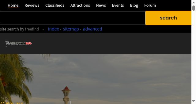 Screenshot of dumagueteinfo.com
