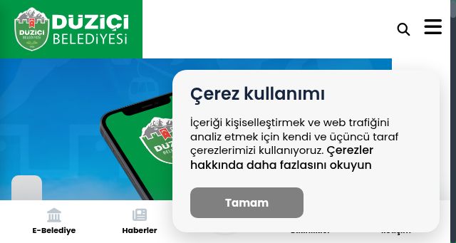 Screenshot of duzici.bel.tr