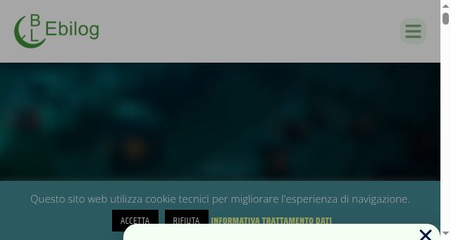 Screenshot of ebilog.it