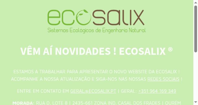 Screenshot of ecosalix.pt