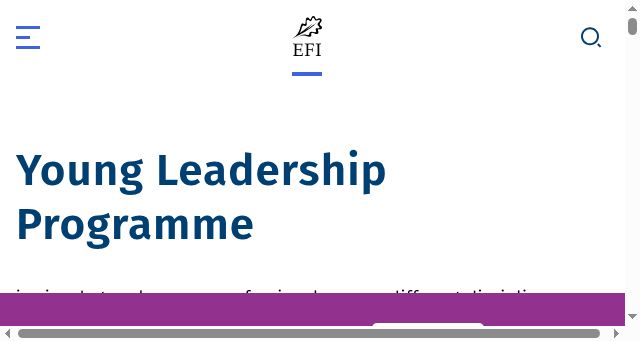 Screenshot of efi.int