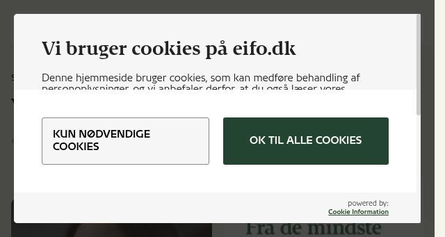 Screenshot of eifo.dk