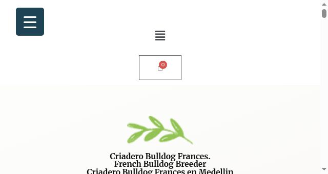 Screenshot of elarcadelfrances.com