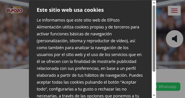 Screenshot of elpozo.com