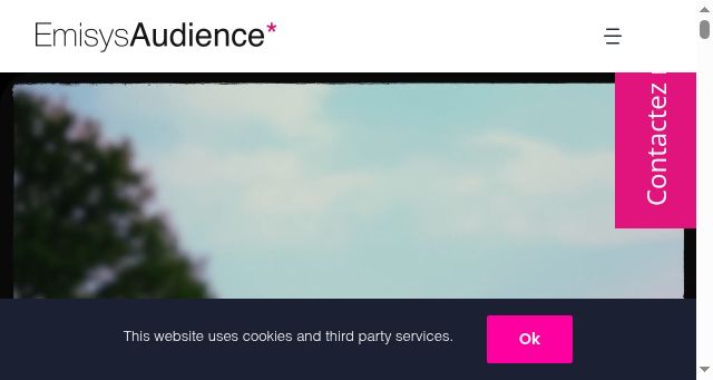 Screenshot of emisys.com