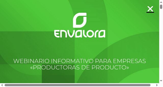 Screenshot of envalora.es