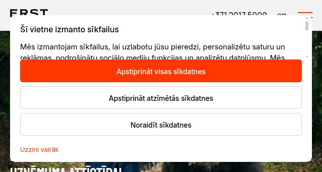Screenshot of erstfinance.com