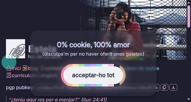 Screenshot of estela.cat