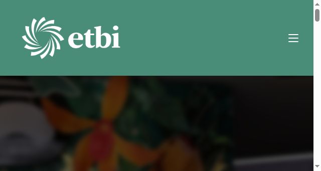 Screenshot of etbi.ie