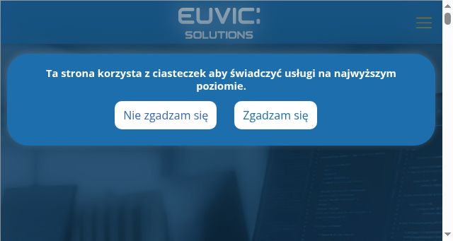 Screenshot of euvic.solutions