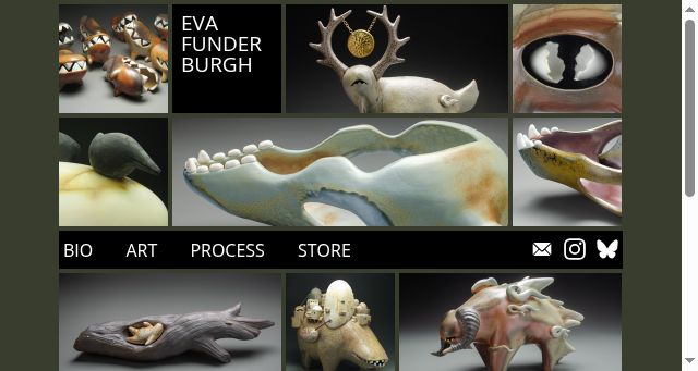 Screenshot of evafunderburgh.com