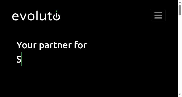 Screenshot of evolutio.pt