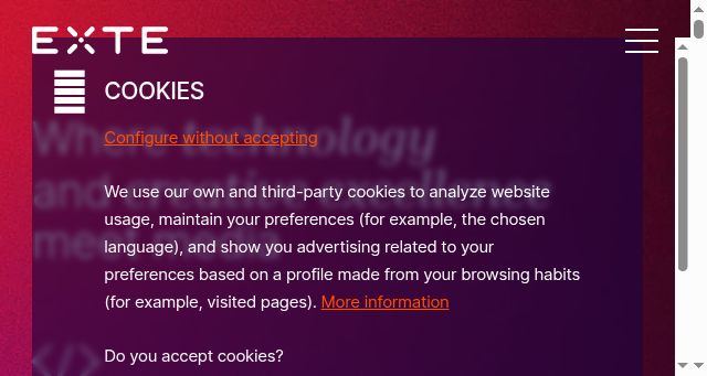 Screenshot of exte.com