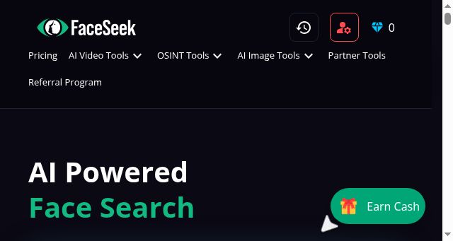 Screenshot of faceseek.online