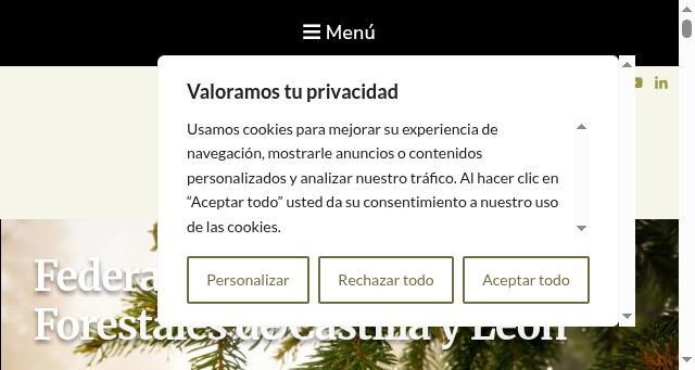 Screenshot of fafcyle.es