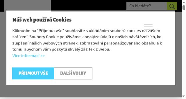 Screenshot of fairtradovamesta.cz